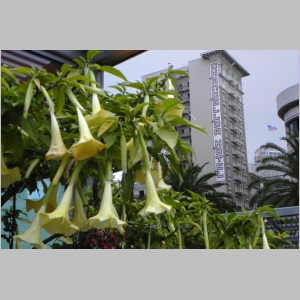 2011-0723-227.JPG