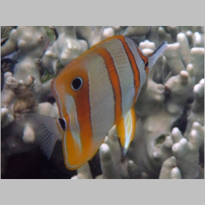 2011-0526-087.JPG