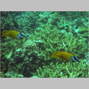 2011-0526-104.JPG