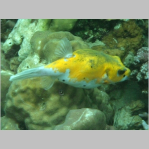 2011-0526-132.JPG