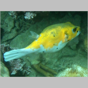2011-0526-134.JPG