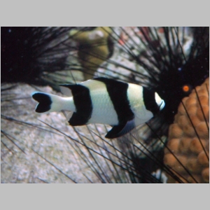 2011-0526-173.JPG