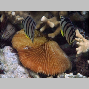 2011-0526-231.JPG