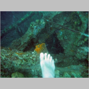 2011-0526-330.JPG