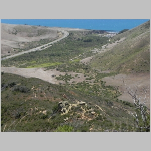 2011-0730-082.JPG