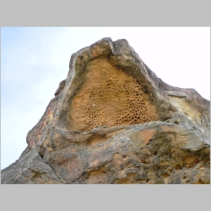 2010-1114-054.JPG