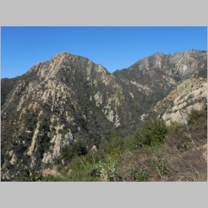 2011-1210-004.JPG