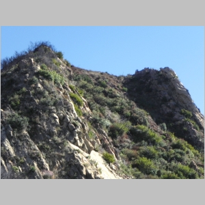 2011-1210-025.JPG