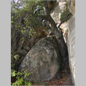 2010-1024-016.JPG
