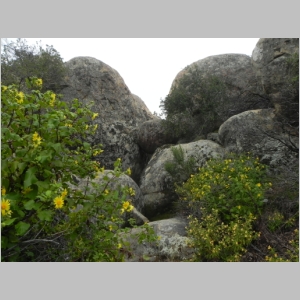 2011-0618-009.JPG