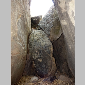 20150418-101.JPG