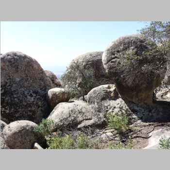 20150418-106.JPG