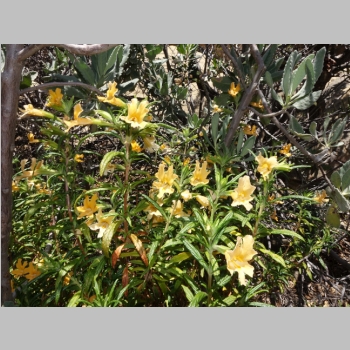 20150418-180.JPG