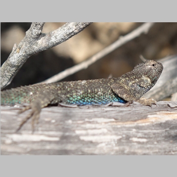 20150418-185.JPG