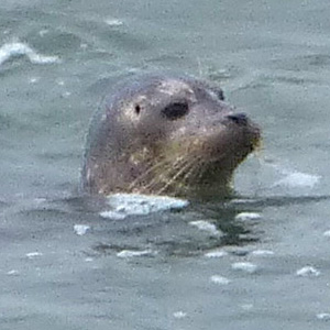 20130825-047.JPG