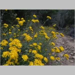 2011-0604-014.JPG