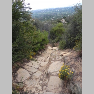 2011-0604-045.JPG