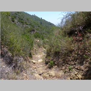 20140525-121.JPG
