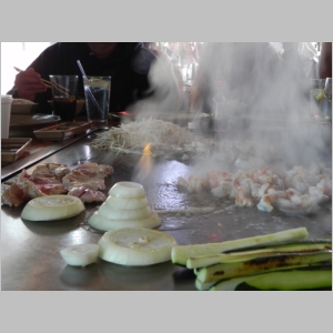 2011-0403-152.JPG