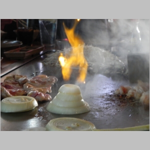 2011-0403-157.JPG