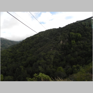 2010-1022-071.jpg